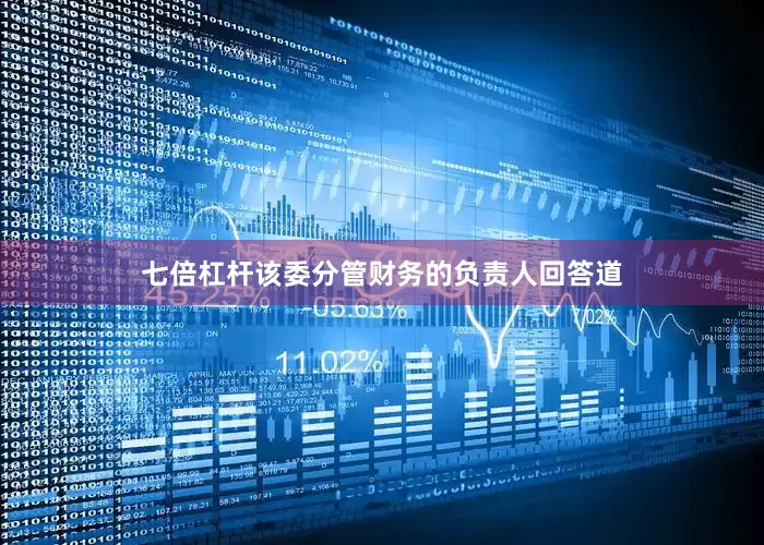七倍杠杆该委分管财务的负责人回答道