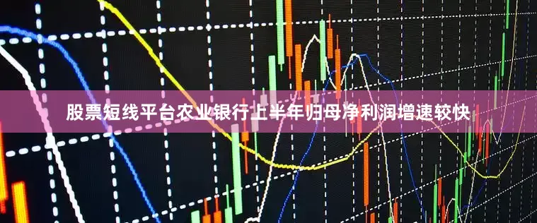 股票短线平台农业银行上半年归母净利润增速较快