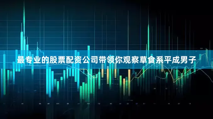 最专业的股票配资公司带领你观察草食系平成男子